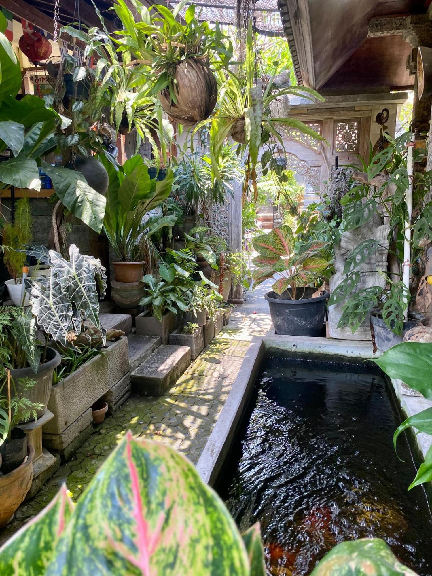 Frog Homestay Sanur Exterior foto